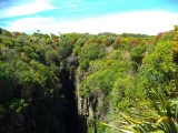 DSC00871
