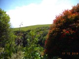 DSC00879