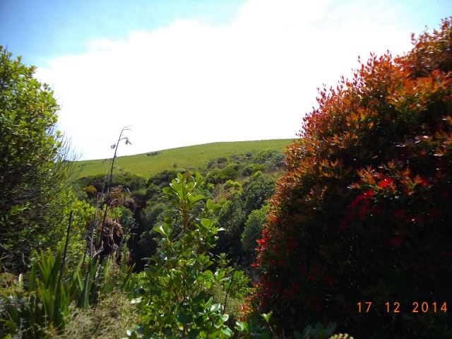 DSC00879