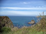 DSC00883
