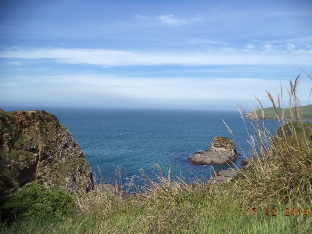 DSC00883