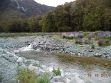 DSC00904