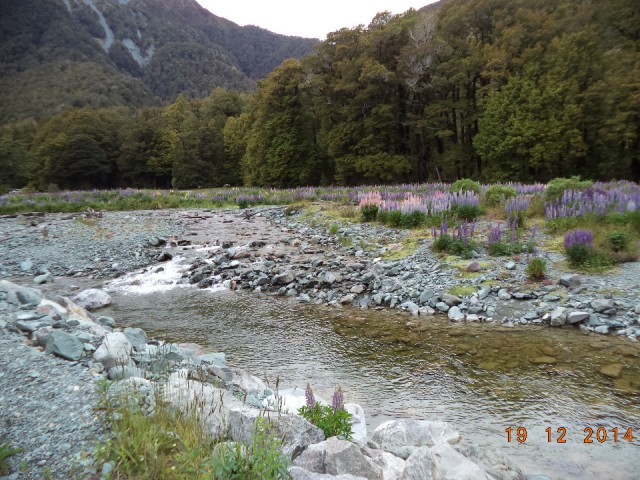 DSC00904