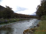 DSC00905
