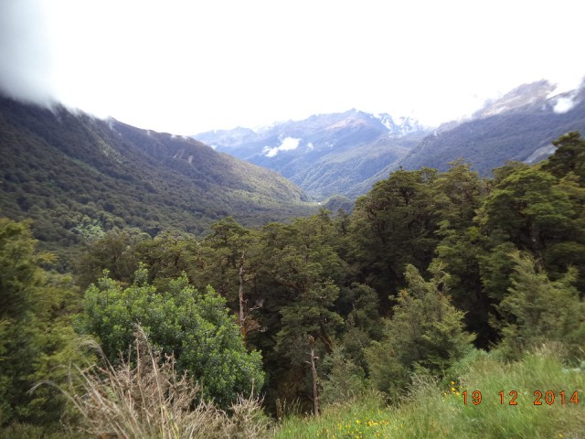 DSC00906