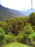 DSC00908