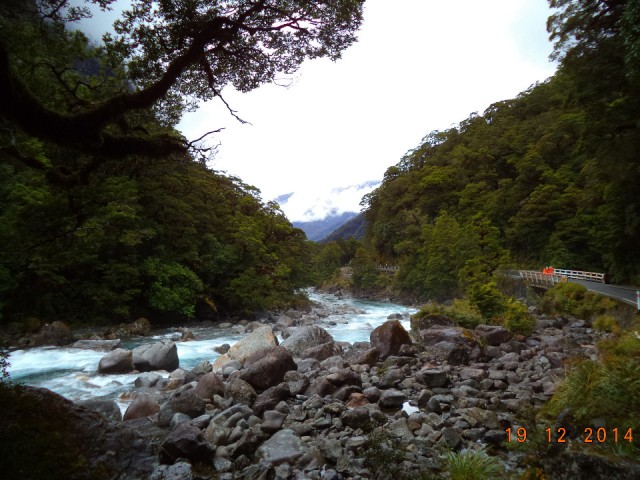 DSC00909