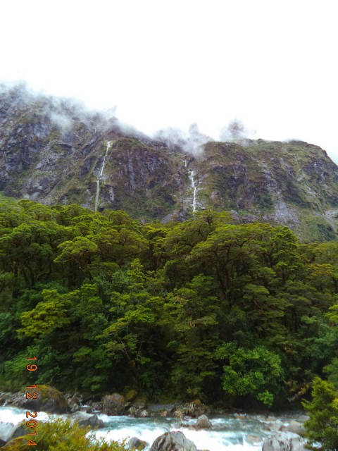 DSC00910