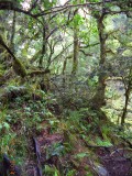 DSC00914