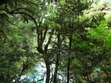 DSC00915