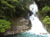DSC00917