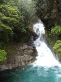 DSC00918