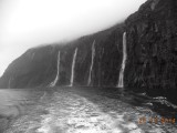 DSC00945