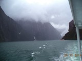 DSC00952