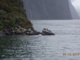DSC00963
