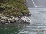 DSC00965