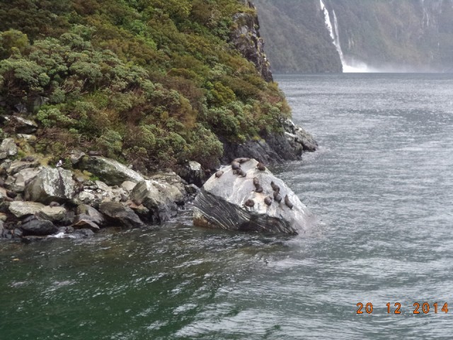DSC00965