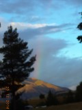 DSC00980