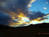 DSC00981