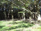 DSC01073
