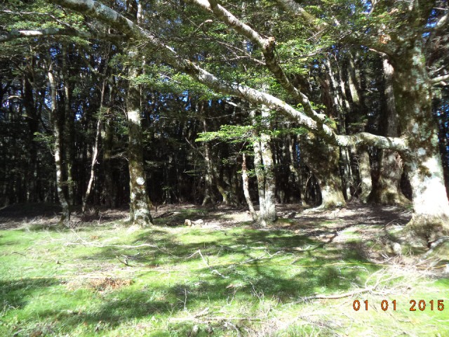 DSC01073
