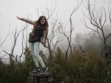 Blue mountains