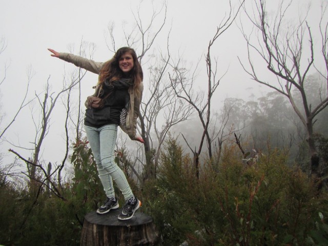 Blue mountains