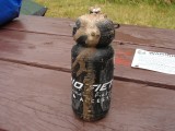 Petrified bottle