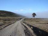 bei Liucura