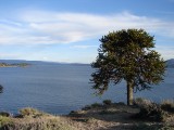 Lago Alumine
