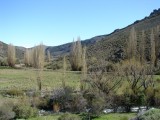 zwischen Alumine und Junin de los Andes
