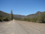 zwischen Alumine und Junin de los Andes
