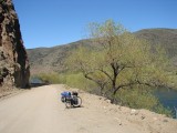 zwischen Alumine und Junin de los Andes