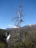 Salto de Rio Falkner