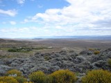 Aussicht auf den Lago Argentino