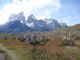 Trip zu den Cuernos 9