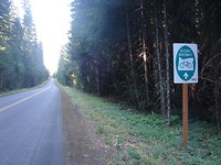no traffic