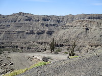 RN 150