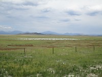 zwischen Hartsel und Trout Creek Pass