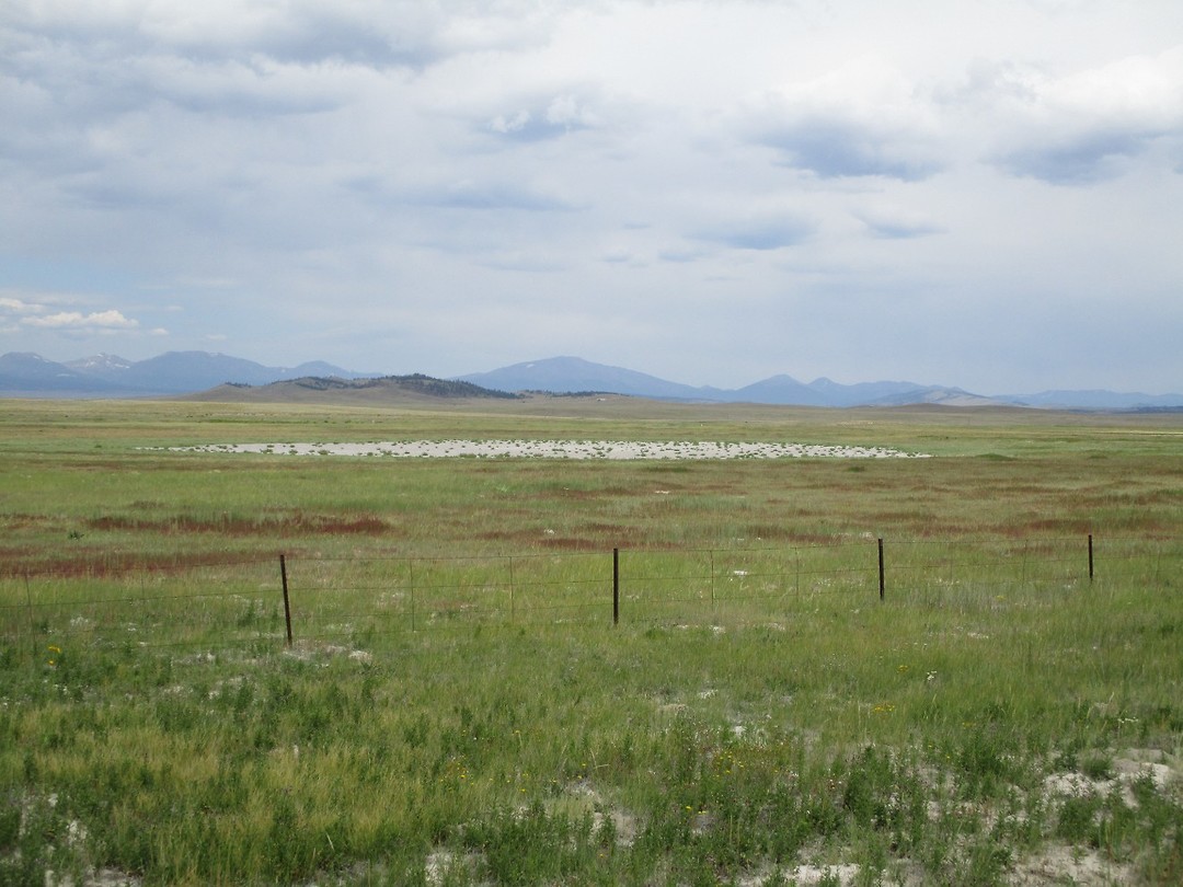 zwischen Hartsel und Trout Creek Pass