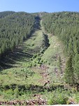 Avalanche beim Avlanche Trail