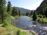 Taylor River