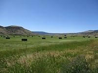 Richtung Saguache