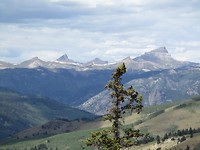 Wetterhorn, Matterhorn und Uncompaghre Peak