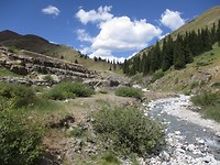 Mine Animas Fork