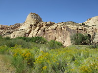 Capitol reef NP