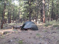 Campground Singletree