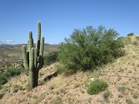 Highway 188