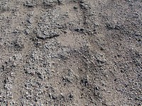 "It is paved"