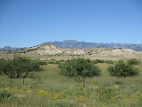 vor Buckhorn